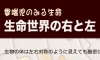 第１３回「カフェ・デ・サイエンス」