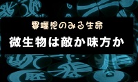 第１７回「カフェ・デ・サイエンス」