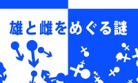 第２０回「カフェ・デ・サイエンス」