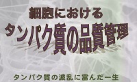 第２３回「カフェ・デ・サイエンス」