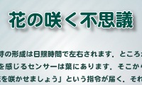 第２４回「カフェ・デ・サイエンス」