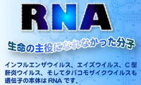 第２６回「カフェ・デ・サイエンス」