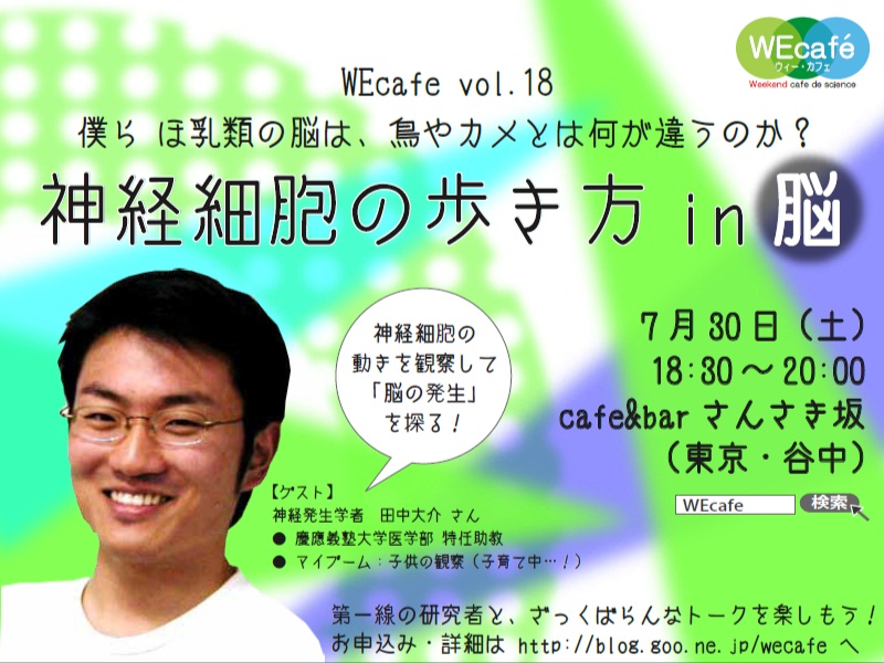 WEcafe　vol. 18　「神経細胞の歩き方 in 脳」　７／３０（土）開催！