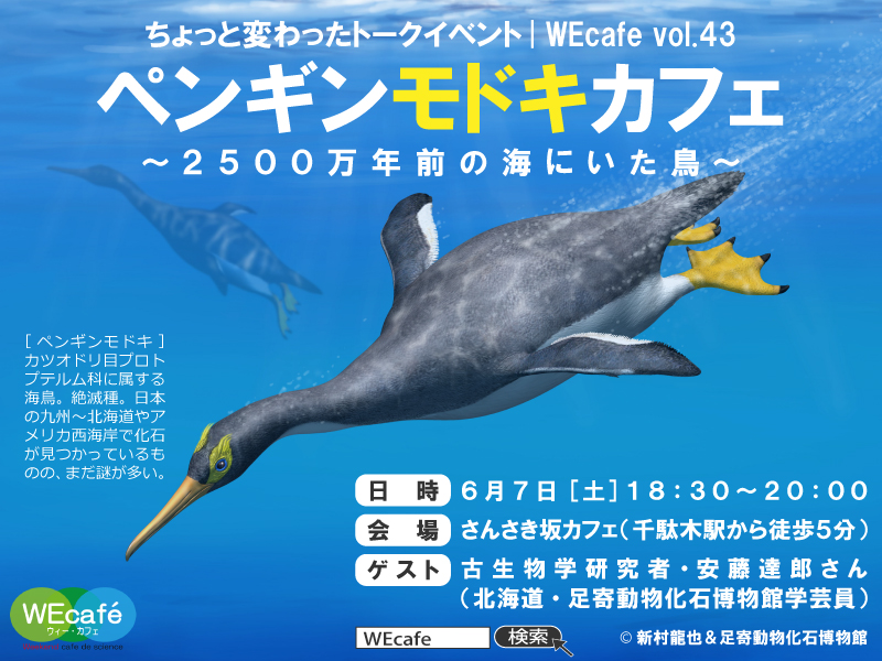 WEcafe vol.43 「ペンギンモドキカフェ ～2500年前の海にいた鳥～」 6/7開催！