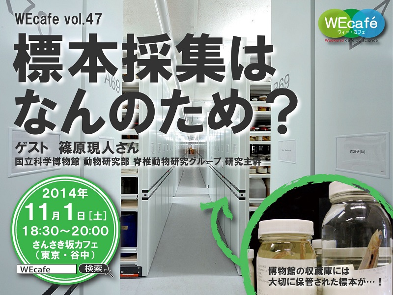 WEcafe vol.47　「標本採集はなんのため？」 11／1（土）開催！