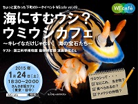 WEcafe vol.49 「海にすむウシ？ウミウシカフェ ～キレイなだけじゃない、海の宝石たち～」 1／24（土）開催！