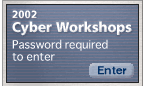 2002 Cyber Workshops