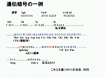 図6