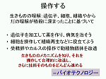 図10
