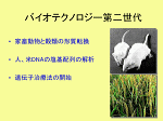 図6