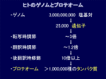 図21