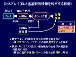図22