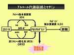 図27