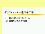 図30