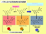 図31