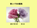 図33