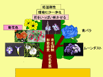 図34