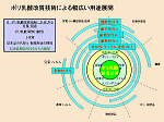 図19